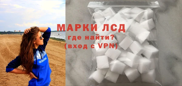 PSILOCYBIN Михайлов