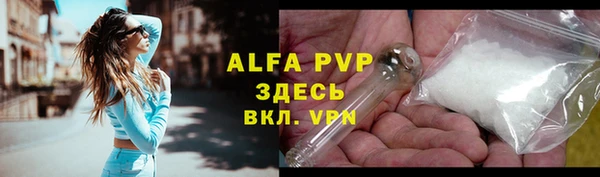 прущие грибы Михайловка