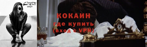 прущие грибы Михайловка