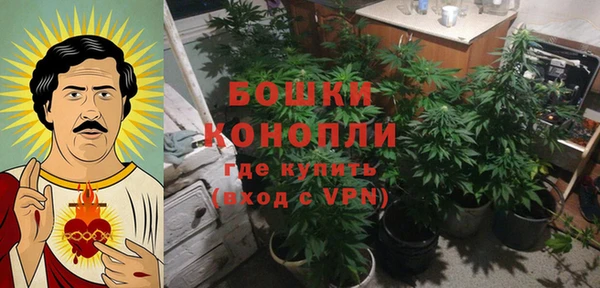 ECSTASY Михайловск