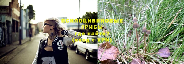 PSILOCYBIN Михайлов