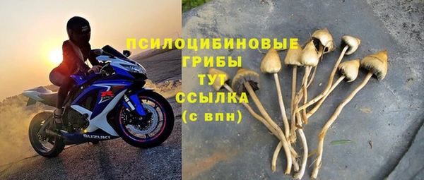 ECSTASY Михайловск