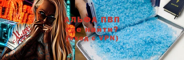 PSILOCYBIN Михайлов