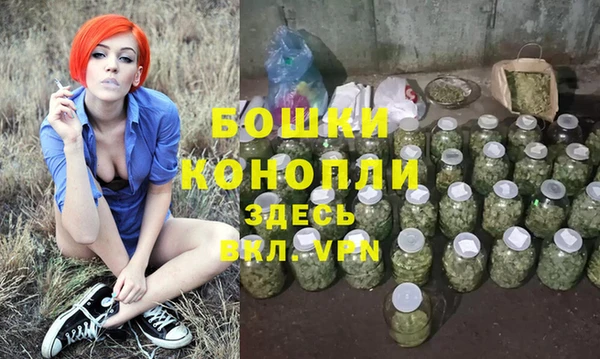 PSILOCYBIN Михайлов