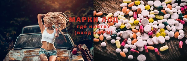 прущие грибы Михайловка