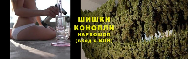 PSILOCYBIN Михайлов