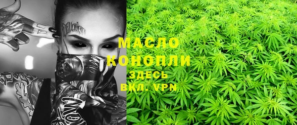 прущие грибы Михайловка