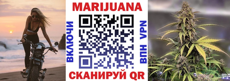 Бошки марихуана конопля  цена   hydra сайт  Махачкала 